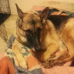 Meet your Posher, Danny